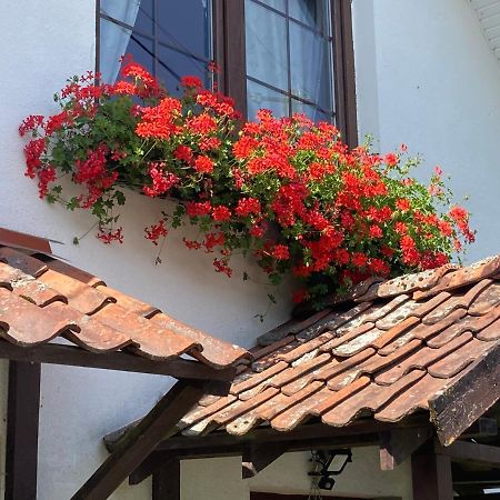 Vila Dom Piasutno Exteriér fotografie